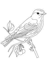 Bluebird
