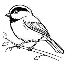 Chickadee