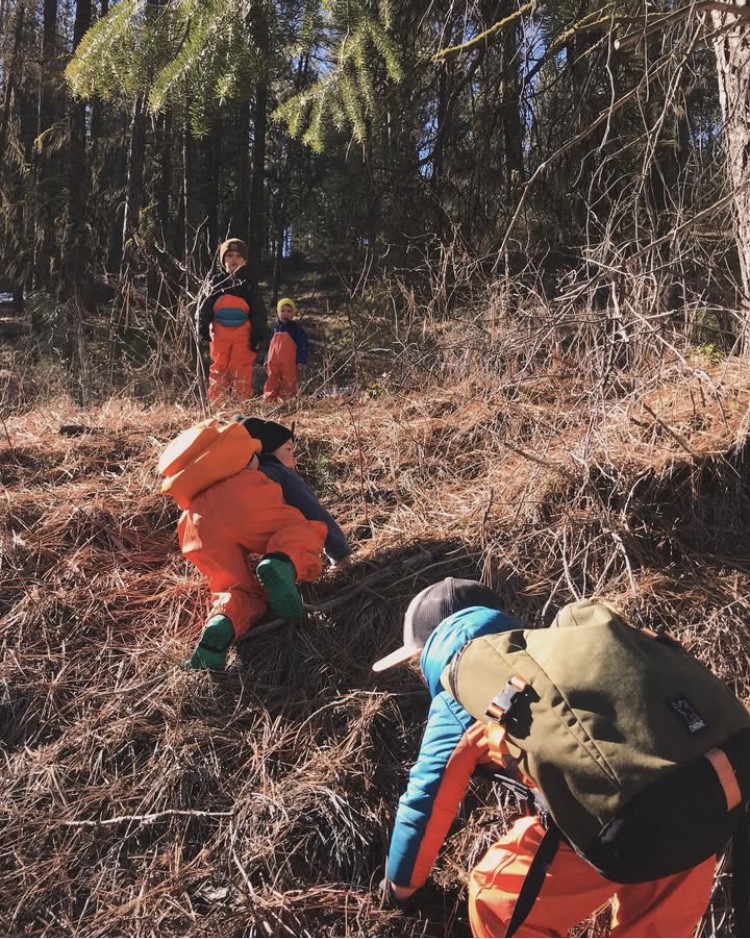 Children hiking through the forest