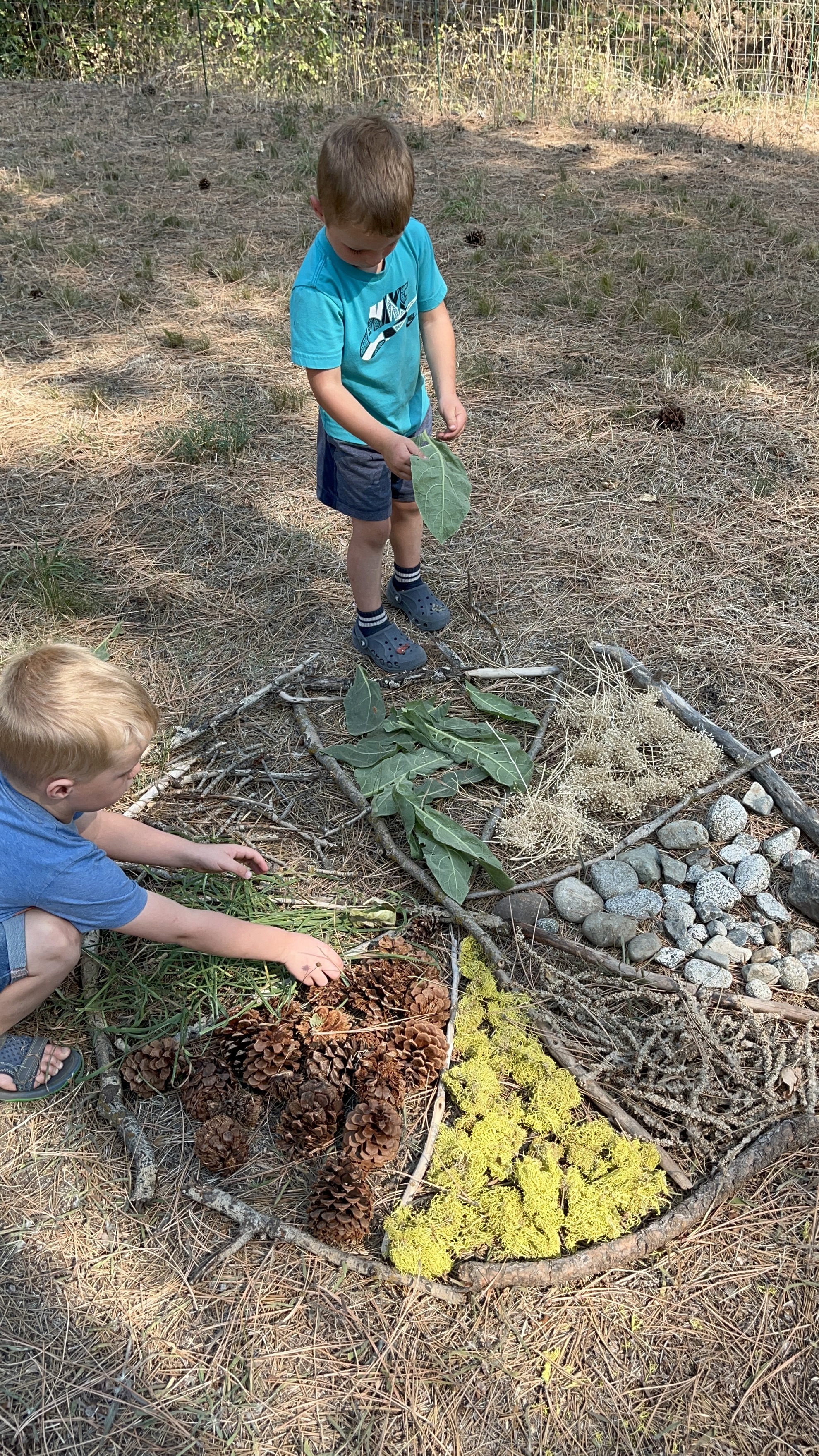 Children arranging a nature mandala